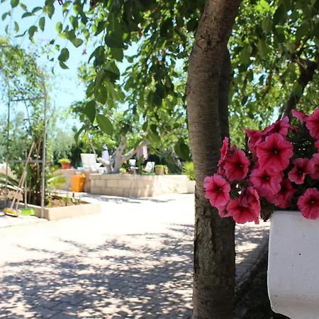 I Sapori Del Gargano * Vieste